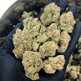 Medicinal Cannabis Portugal